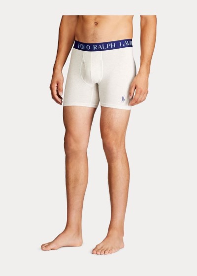 Men's Polo Ralph Lauren 4D Flex 3-Pack Briefs | 849715SDP